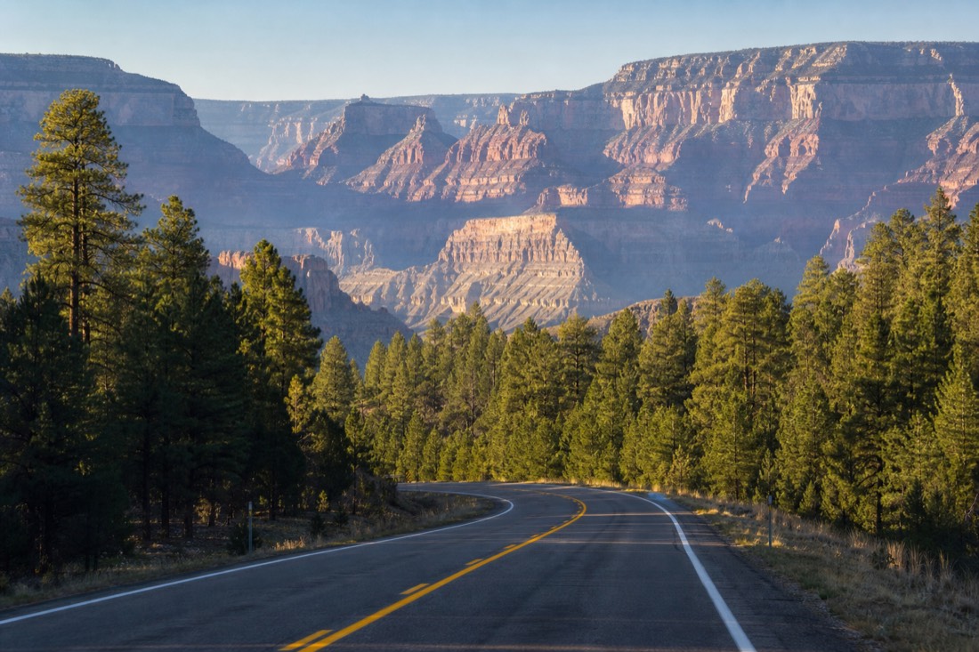A two-lane Arizona highway heading north through pine forest toward the Grand Canyon under a clear sky