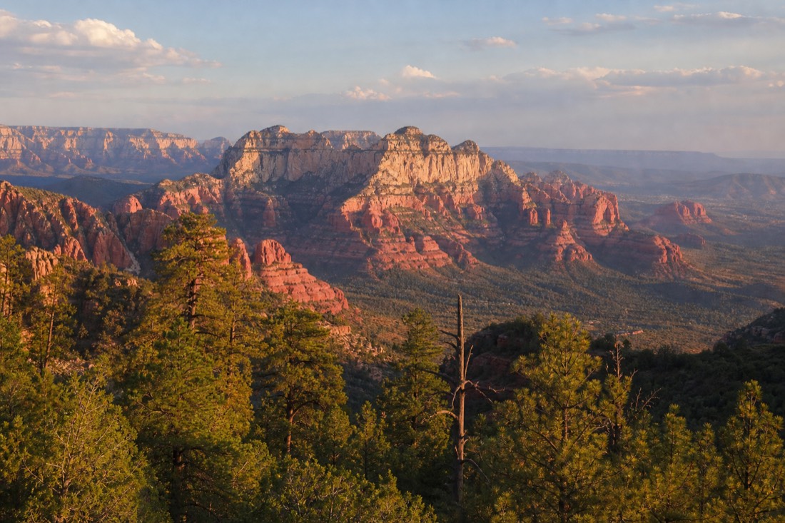 Red rock formations glowing in late afternoon light seen from a pine-covered ridge to the north