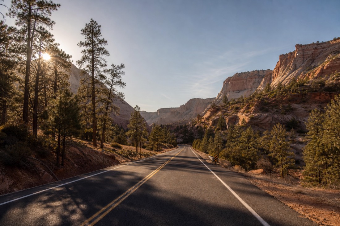 Low winter sun glaring down a straight forest highway with long tree shadows across the asphalt