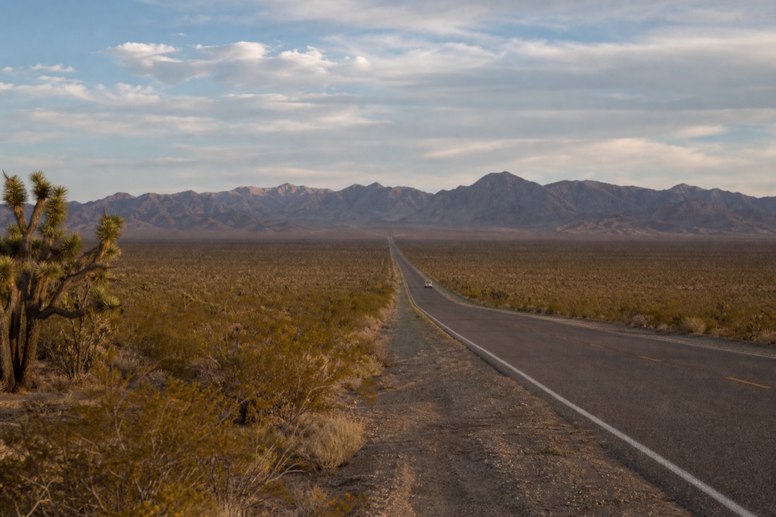 Joshua trees and creosote stretching to a low ridge line with a single vehicle far down the empty road