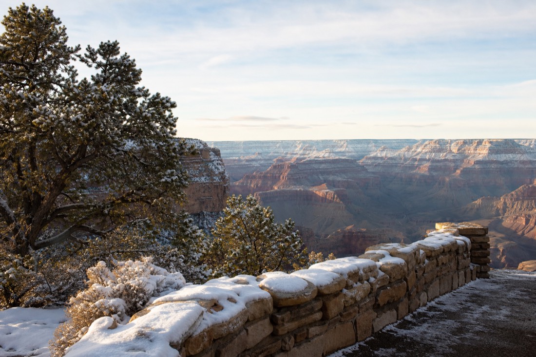 Snow dusting the pines and stone wall along a rim overlook with the canyon layered in winter light