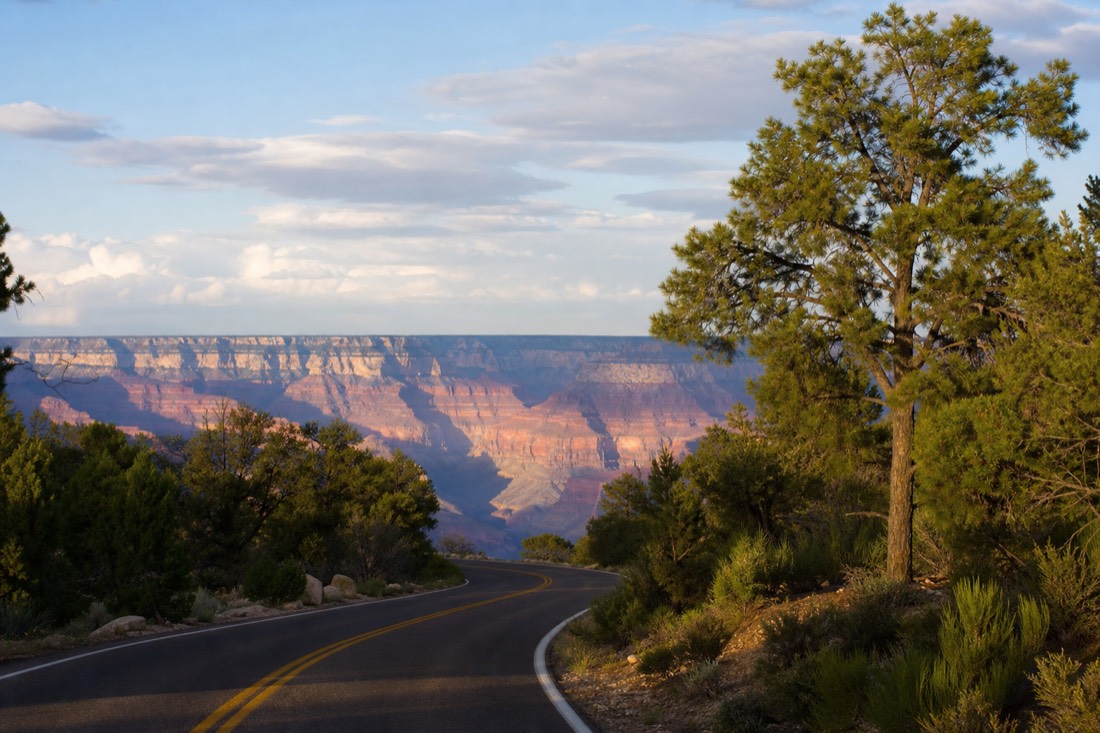 An open park entrance road winding through pine forest toward the Grand Canyon with no queue in sight