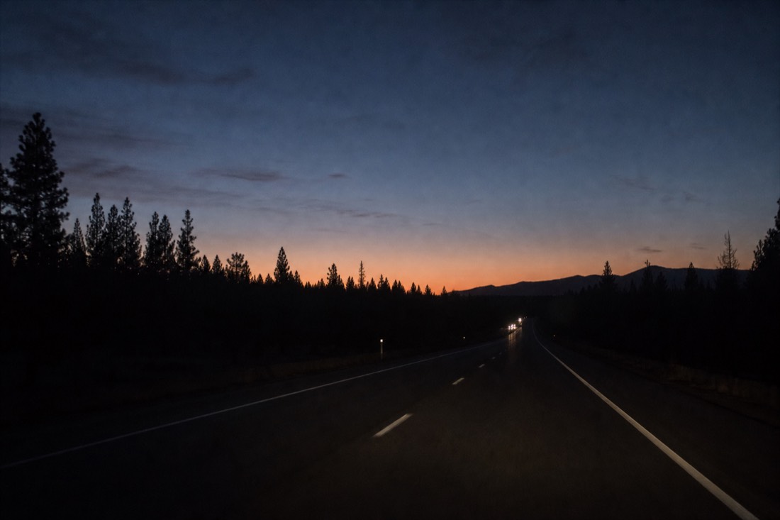 Headlights on a dark highway before dawn with the silhouette of pine trees against a faint pink horizon